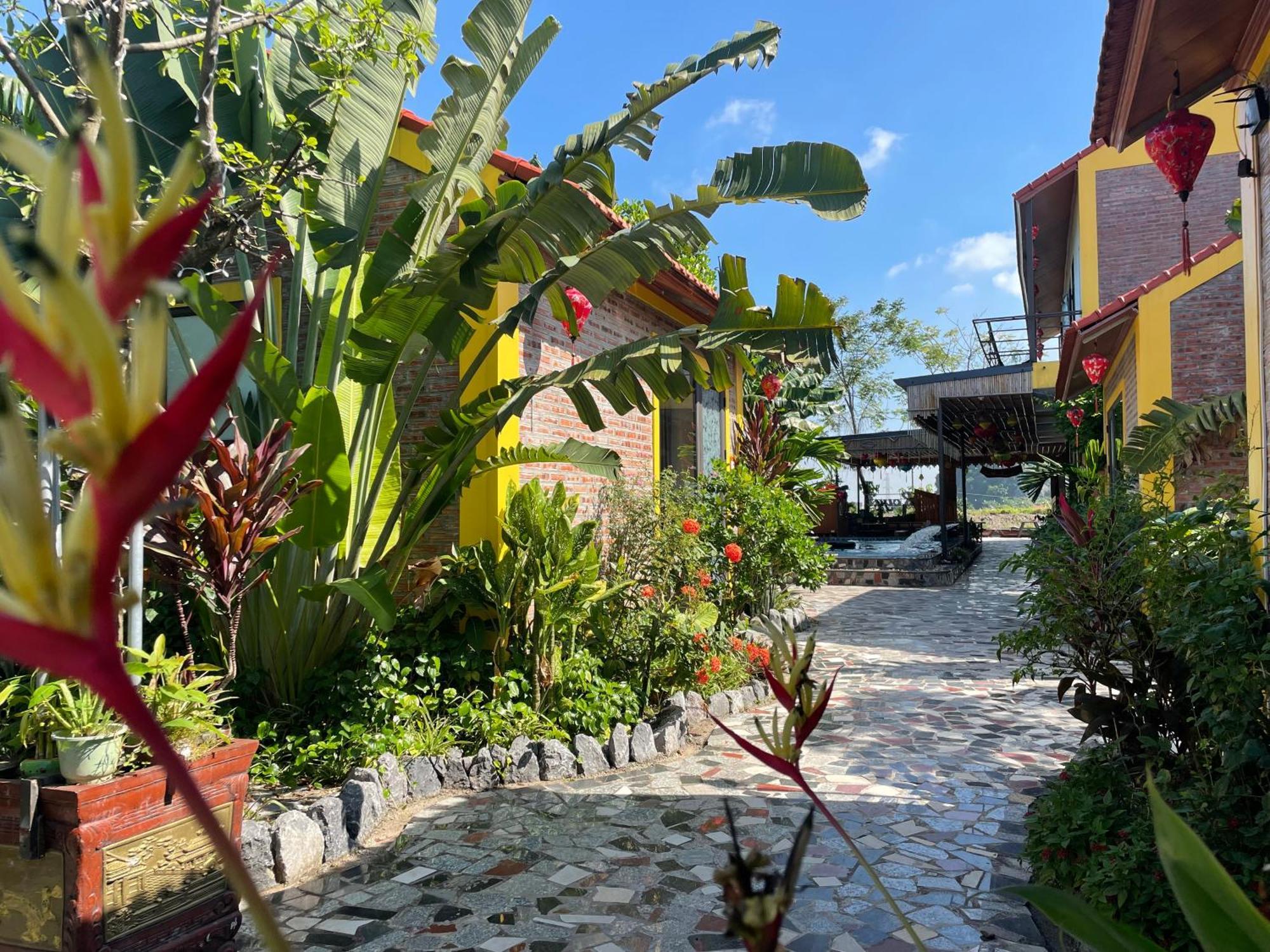 Ninh Binh Royal Homestay ภายนอก รูปภาพ